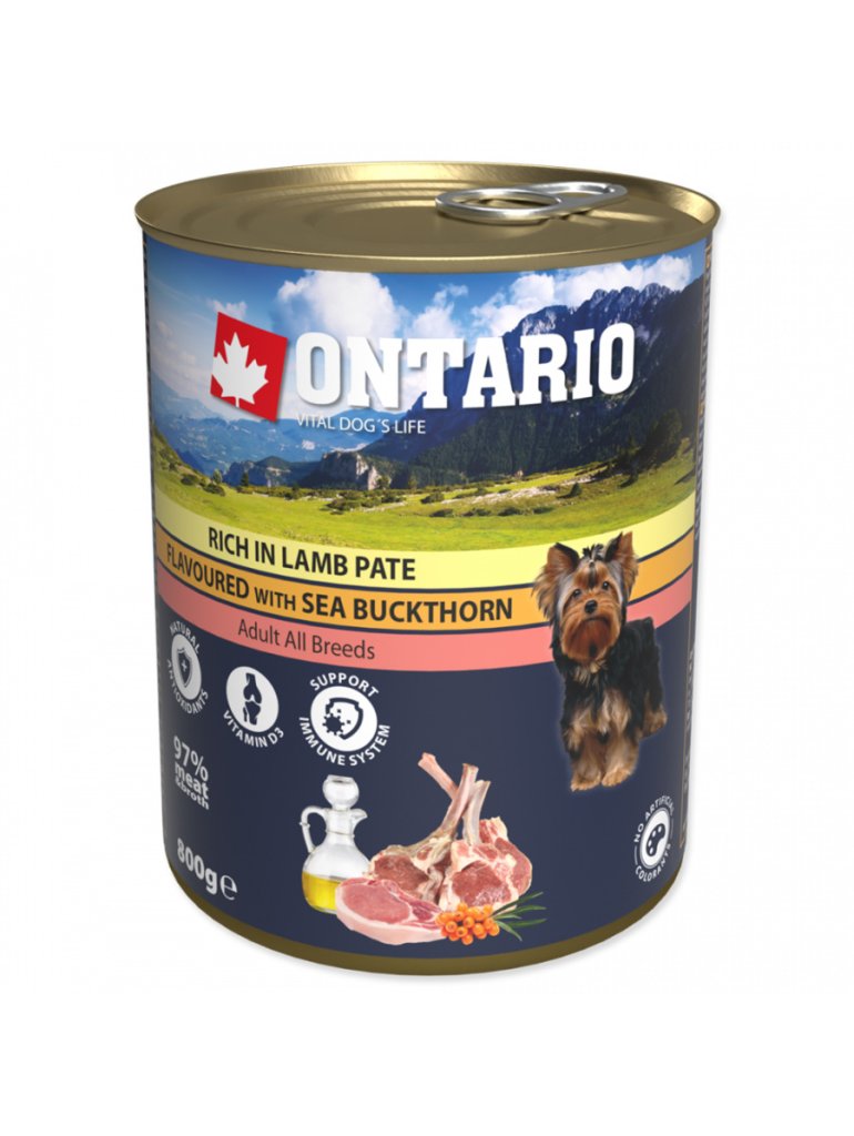 KONZERVA ONTARIO JAŇACIA 800g